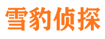 西华找人公司